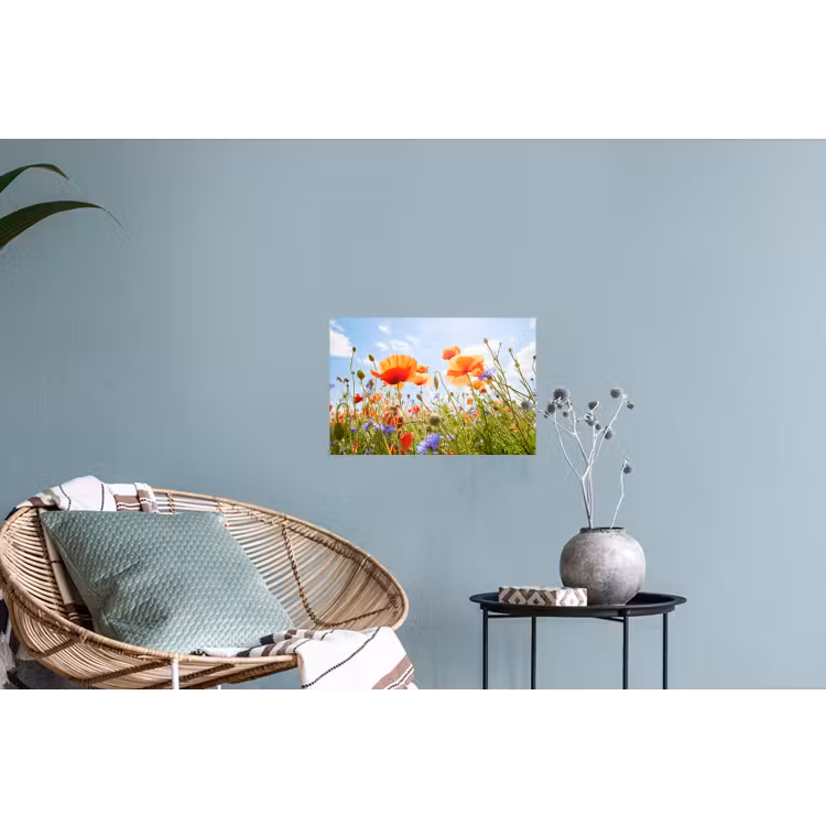 Bloemen - Klaproos - Lente - Natuur - Rood - Blauw Muursticker klein -plant