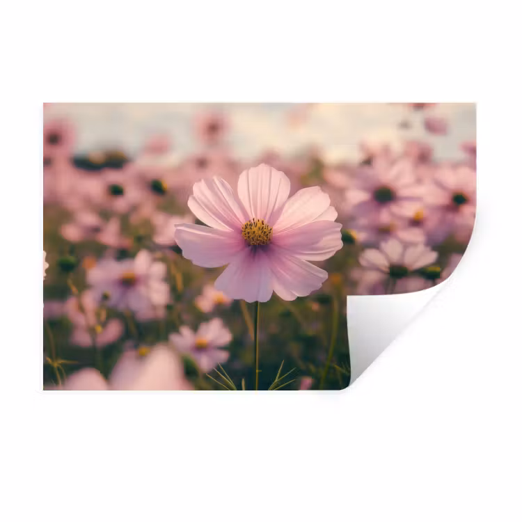 Bloemen - Paars - Wazig Muursticker klein -3d