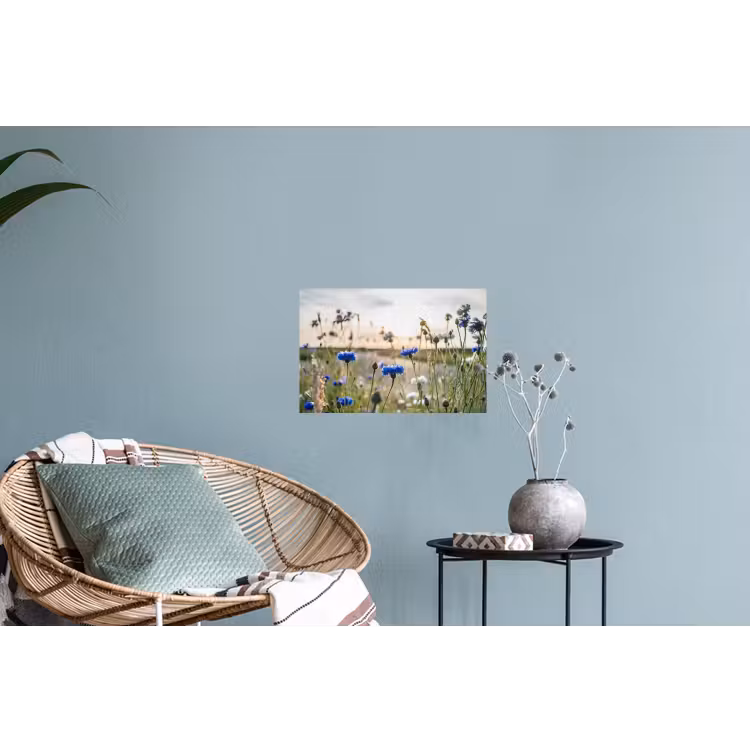 Bloemen - Zomer - Korenbloem - Blauw - Zon - Wolken Muursticker klein -plant