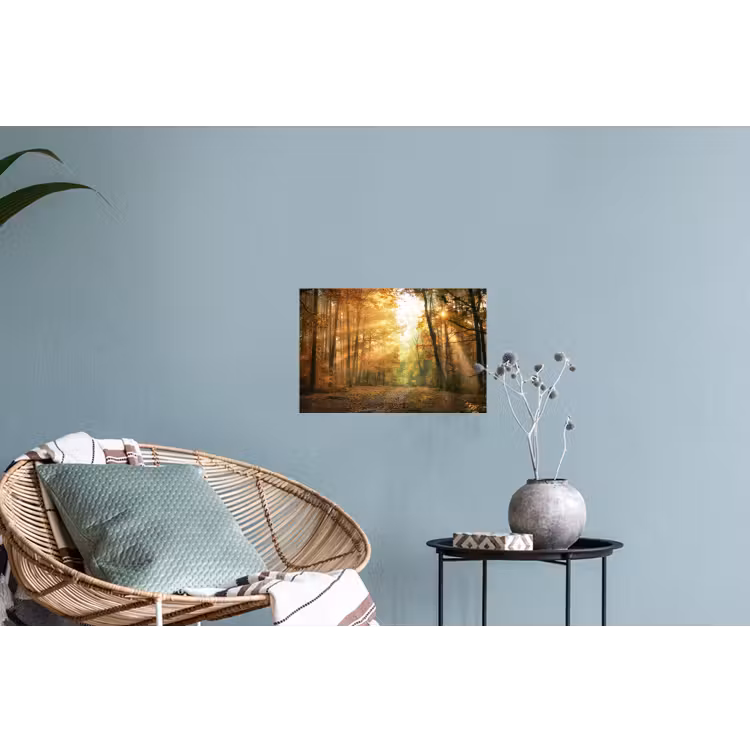 Bos - Herfst - Zon - Landschap - Natuur - Oranje Muursticker klein -plant
