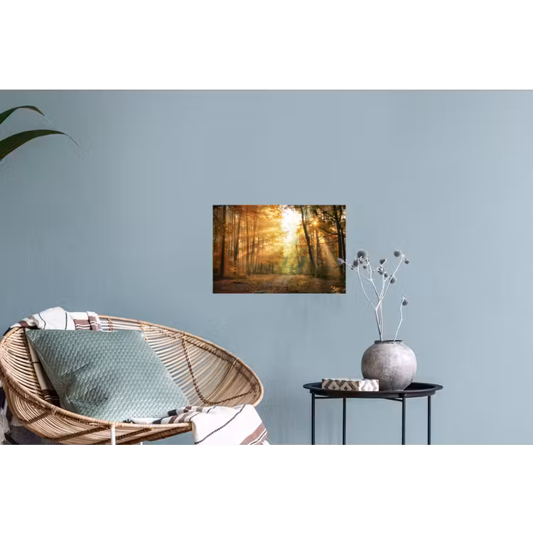 Bos - Herfst - Zon - Landschap - Natuur - Bomen - Bladeren Muursticker klein -plant
