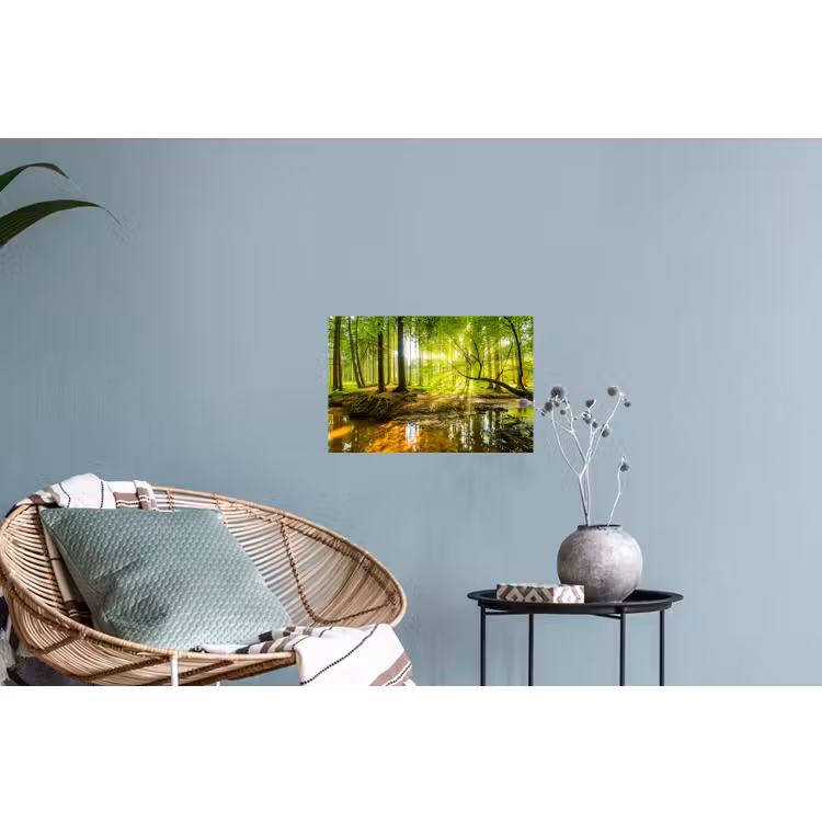 Bos - Landschap - Water - Bomen - Zon - Groen Muursticker klein -plant