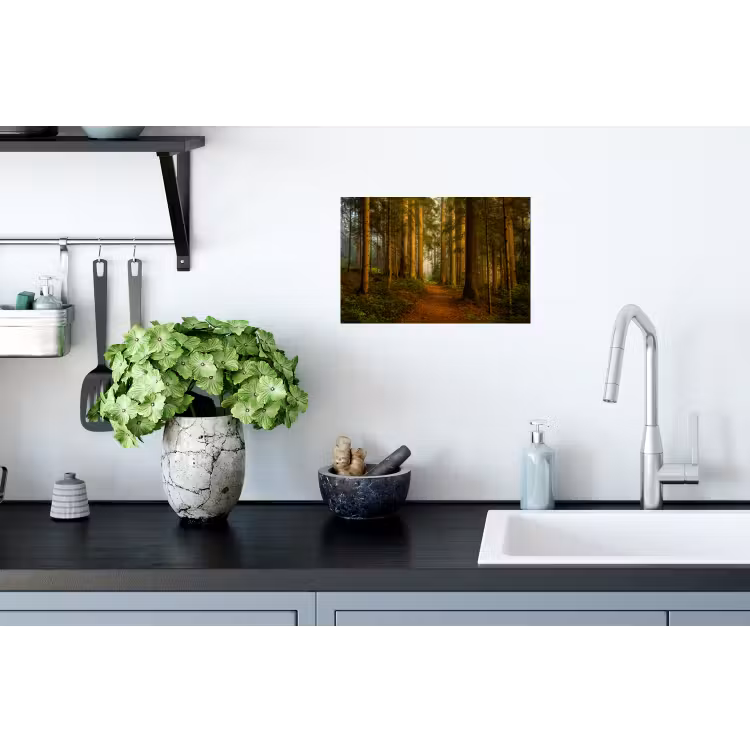 Bos - Natuur - Bomen - Landschap Muursticker klein -keuken