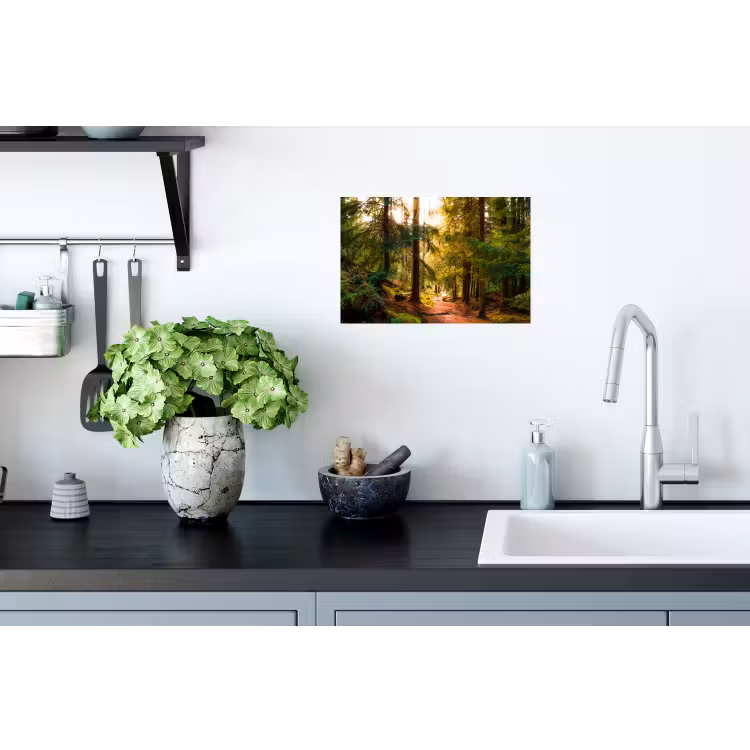 Bos - Pad - Boom Muursticker klein -keuken