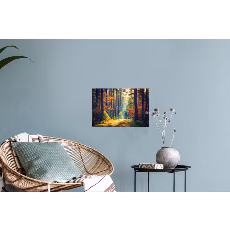 Wald - Sonne - Natur - Herbst Muursticker klein -plant