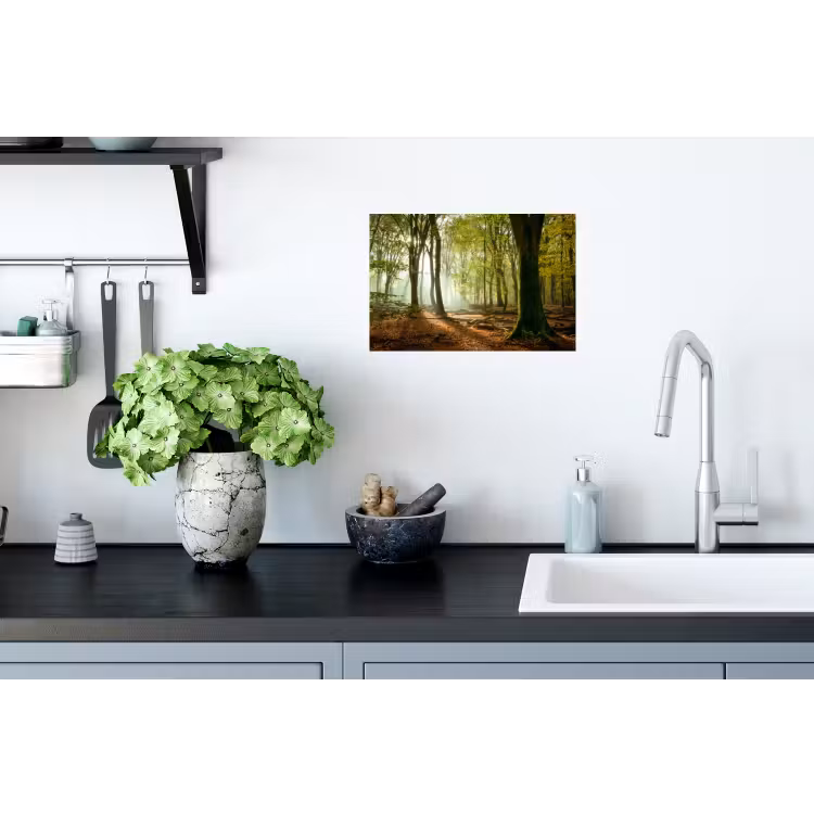 Bos - Zon - Seizoenen - Landschap Muursticker klein -keuken