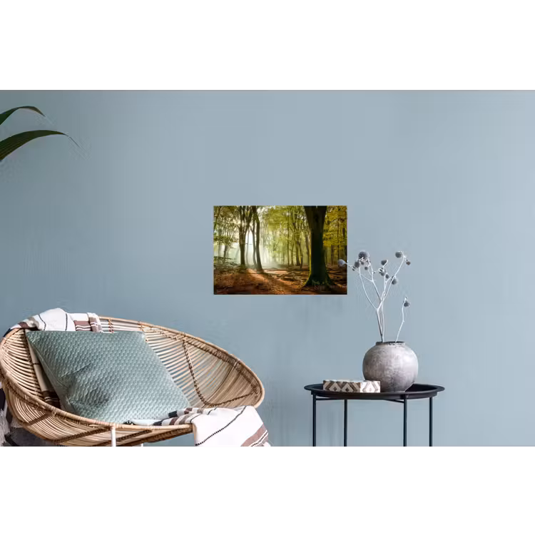 Bos - Zon - Seizoenen - Landschap Muursticker klein -plant