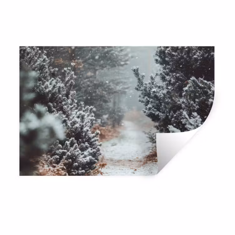 Bos - Winter - Bomen - Natuur - Pad - Sneeuw Muursticker klein -3d