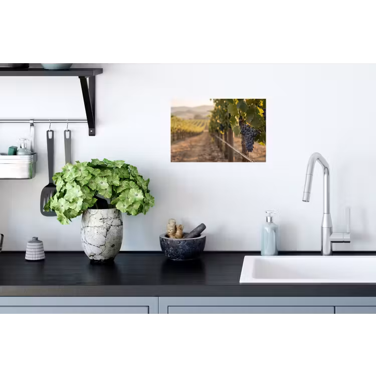 Druiven - Wijngaard - Zonlicht Muursticker klein -keuken