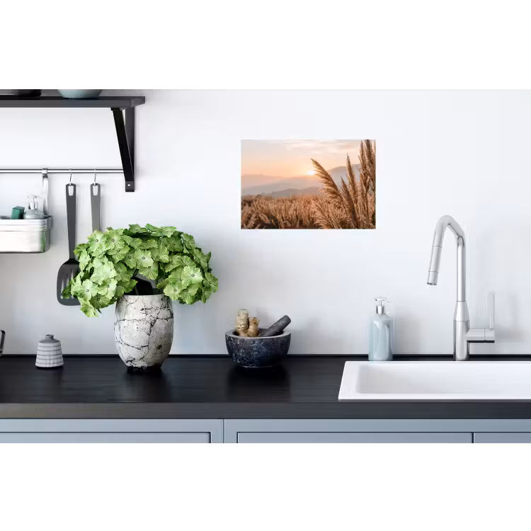 Gras - Veld - Zon - Natuur Muursticker klein -keuken
