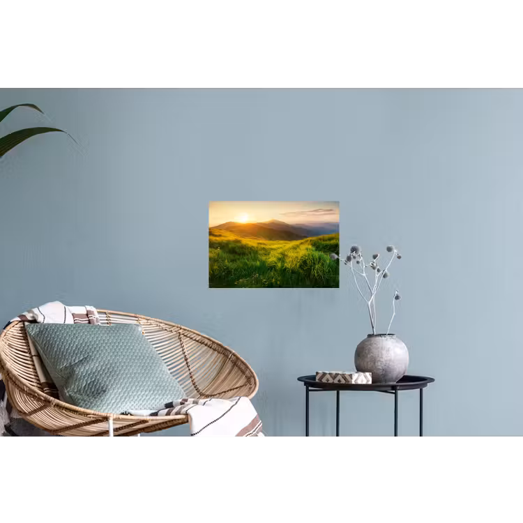 Gras - Heuvels - Zon - Natuur - Landschap Muursticker klein -plant