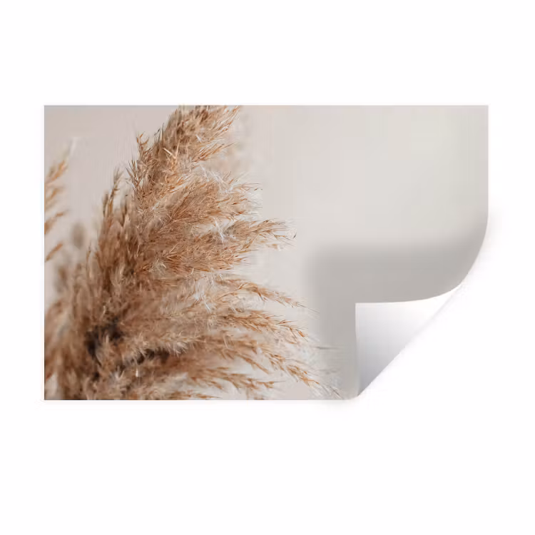 Rijk en pluizig pampagras uit de natuur Muursticker klein -3d
