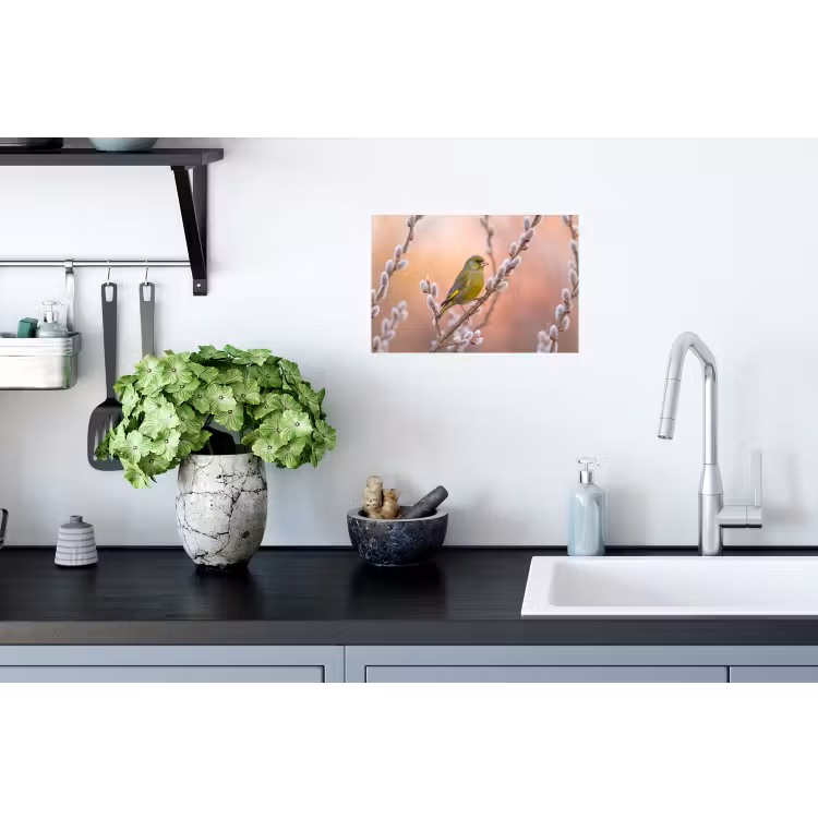Groenling - Katjes - Lente - Natuur - Zacht Muursticker klein -keuken