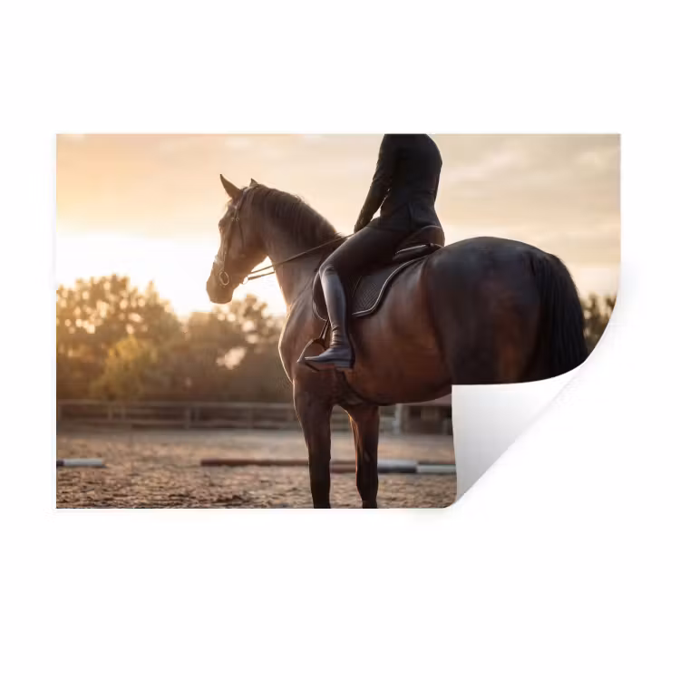 Harmonie - Ruiter - Zon Muursticker klein -3d