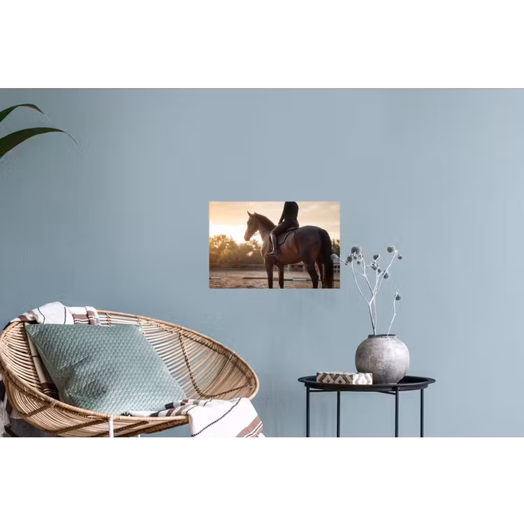 Harmonie - Ruiter - Zon Muursticker klein -plant