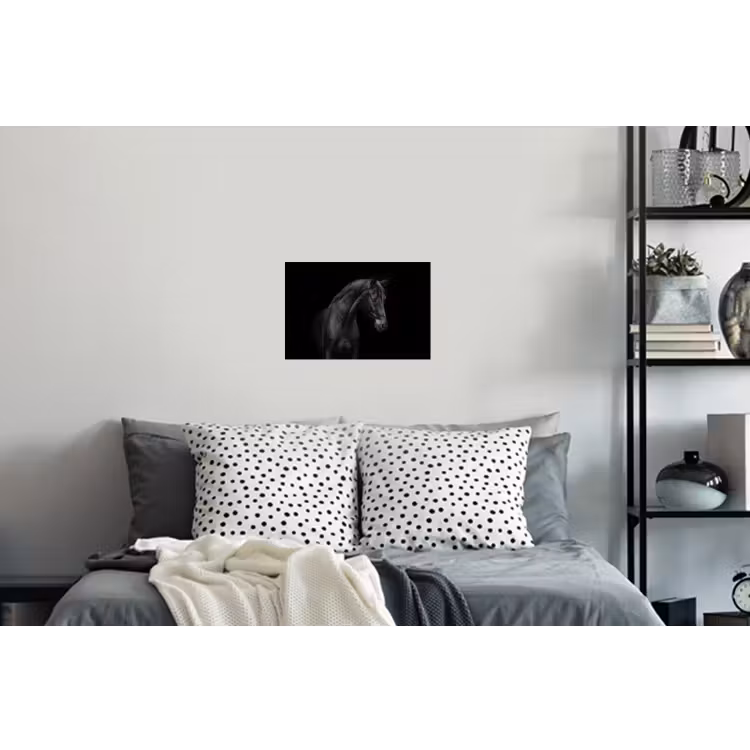 Paard - Dieren - Zwart - Portret Muursticker klein -slaapkamer