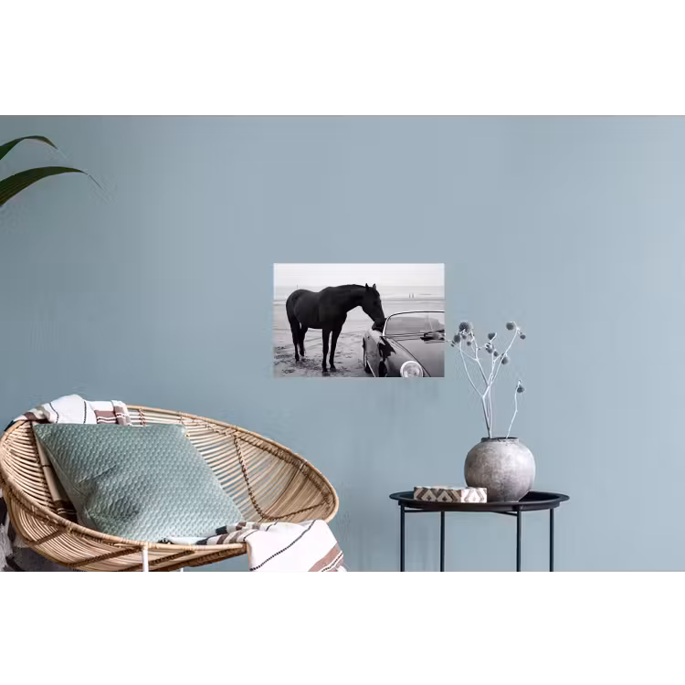 Paard - Auto - Zwart - Wit Muursticker klein -plant
