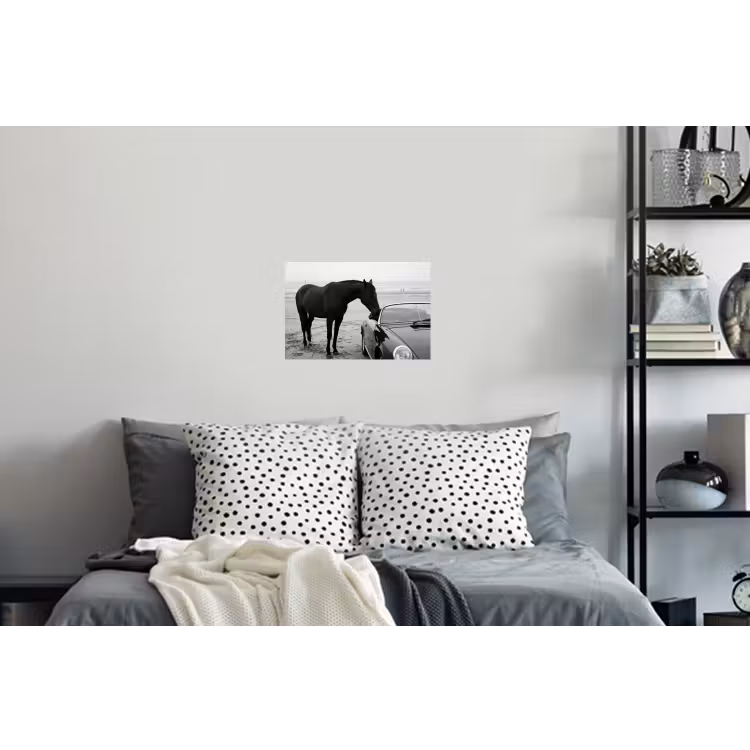 Paard - Auto - Zwart - Wit Muursticker klein -slaapkamer