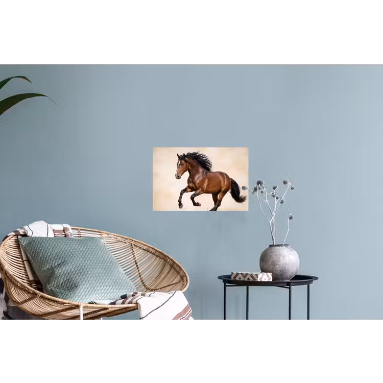 Paard - Galop - Energie Muursticker klein -plant