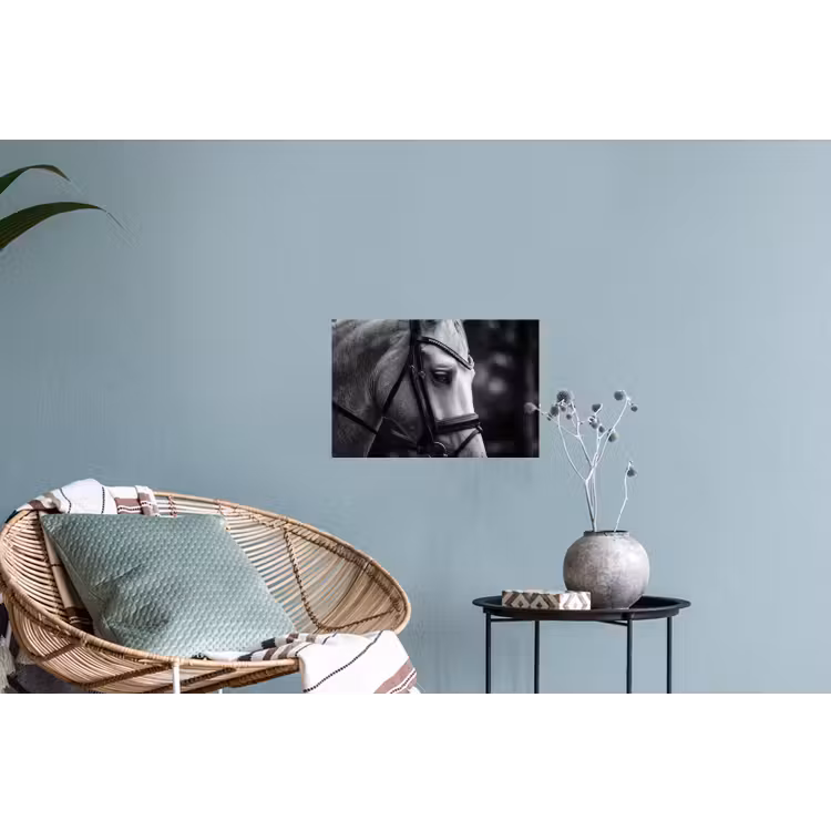 Paard - Schimmel - Portret Muursticker klein -plant