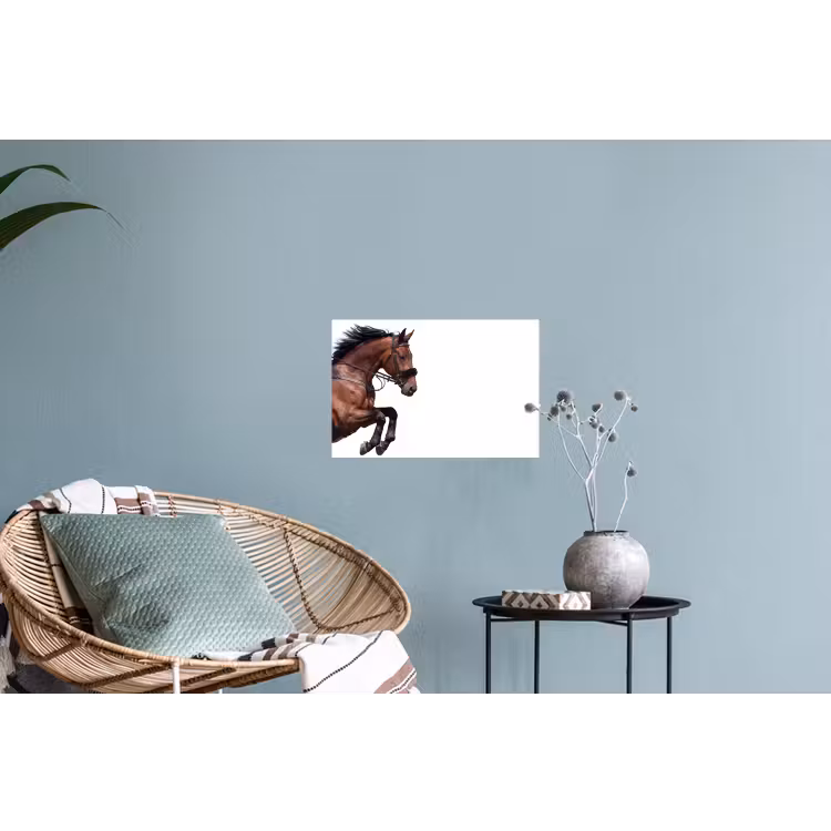 Paard - Springen - Modern Muursticker klein -plant