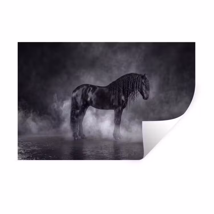 Paard - Magisch - Zwart Muursticker klein -3d