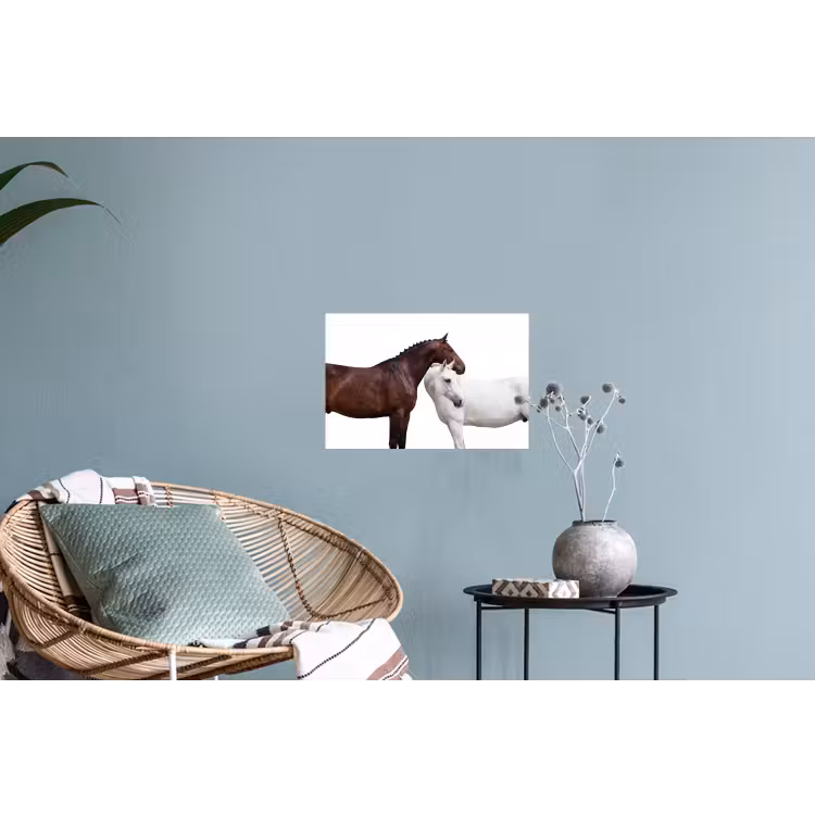 Paard - Modern - Balans Muursticker klein -plant