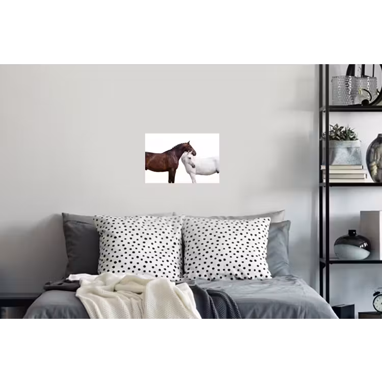 Paard - Modern - Balans Muursticker klein -slaapkamer