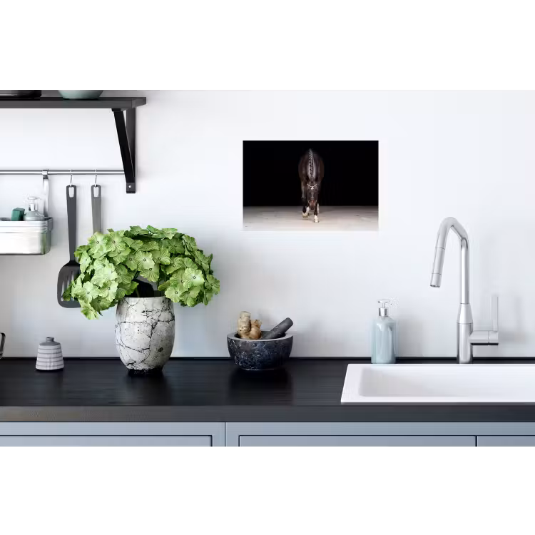 Paard - Modern - Portret Muursticker klein -keuken