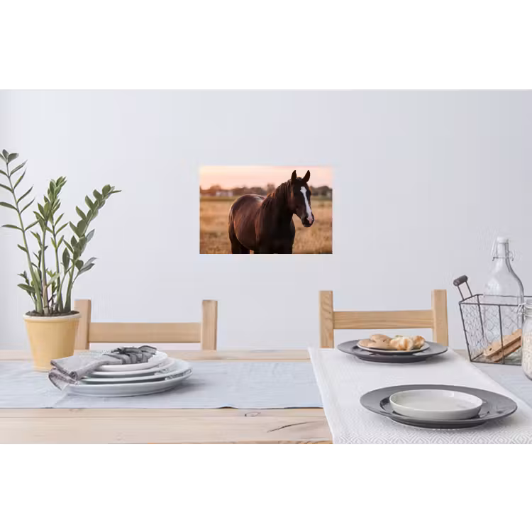 Paard - Zonsondergang - Bruin Muursticker klein -eettafel