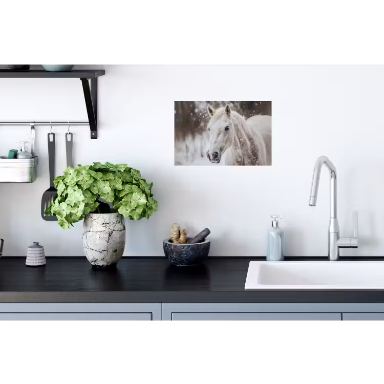 Paard - Wit - Winter - Natuur - Sneeuw - Dieren Muursticker klein -keuken
