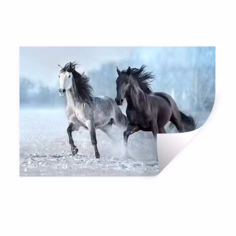 Paarden - Winter - Dieren - Natuur - Sneeuw Muursticker klein -3d