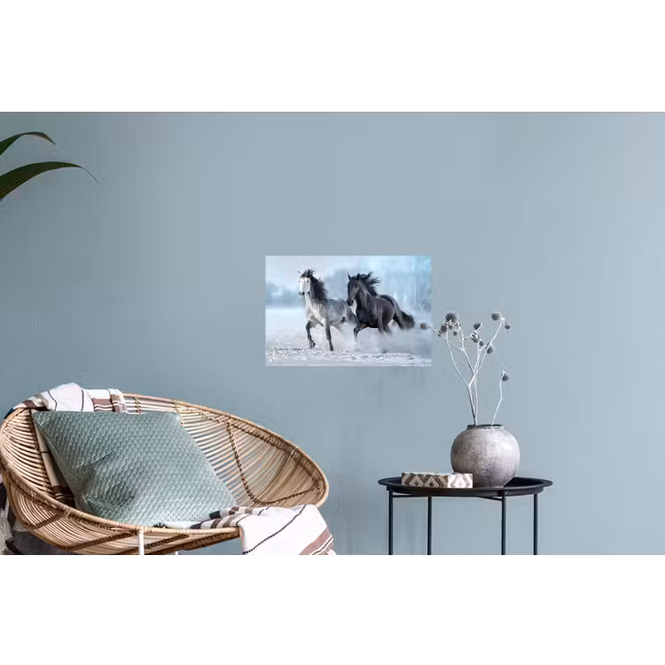 Paarden - Winter - Dieren - Natuur - Sneeuw Muursticker klein -plant