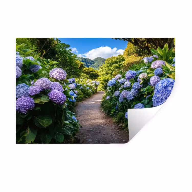 Hortsensia - Pad - Bloemen Muursticker klein -3d