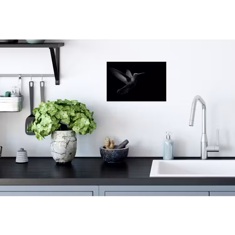 Kolibrie - Zwart - Dieren Muursticker klein -keuken