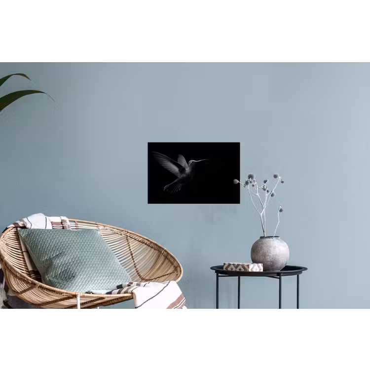 Kolibrie - Zwart - Dieren Muursticker klein -plant