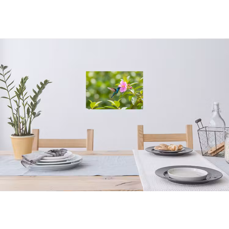 Kolibrie - Bloem - Natuur - Groen Muursticker klein -eettafel