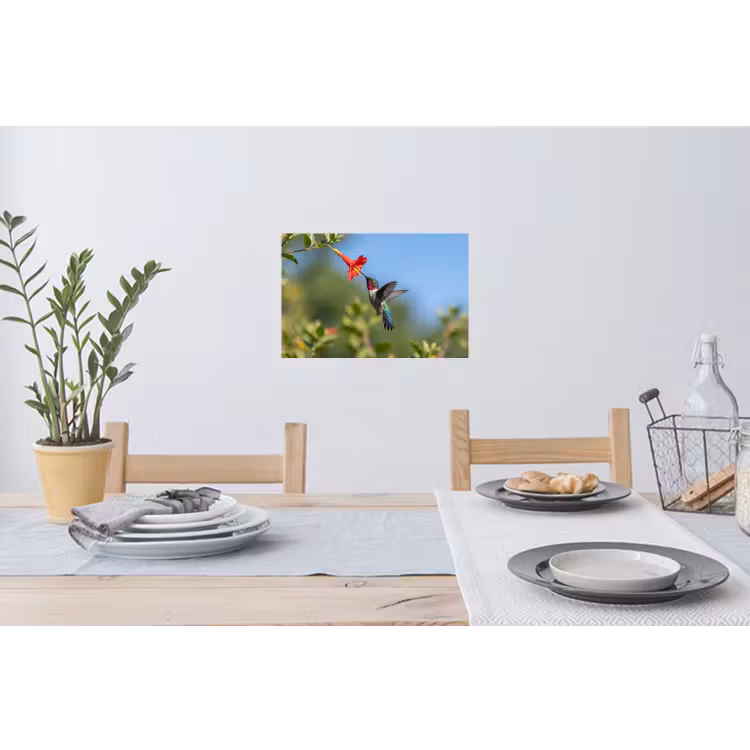 Kolibrie - Bloem - Natuur - Groen Muursticker klein -eettafel