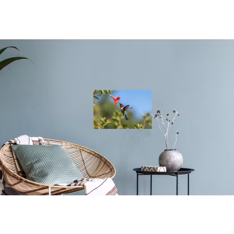 Kolibrie - Bloem - Natuur - Groen Muursticker klein -plant