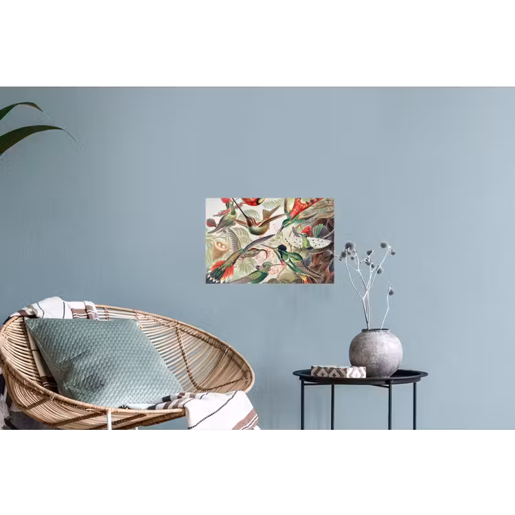 Kolibrie - Tuindecoratie - Vintage - Ernst Haeckel - Tuinposter Muursticker klein -plant