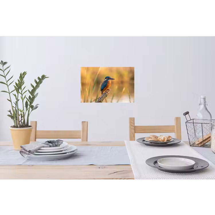 IJsvogel - Tak - Water - Kleurrijk - Levendig Muursticker klein -eettafel