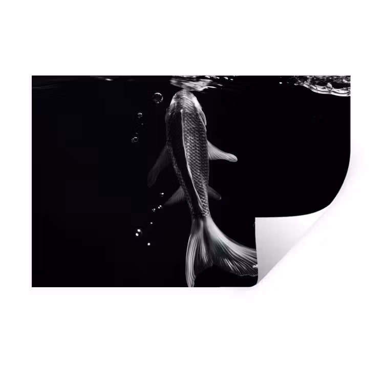 Koi - Vissen - Water - Zwart Muursticker klein -3d