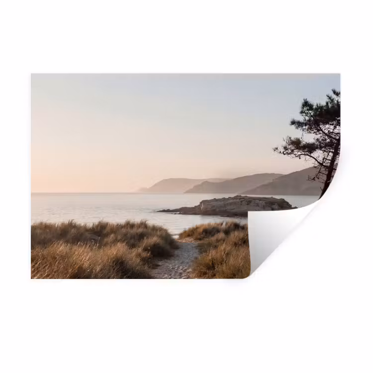 Landschap - Kust - Duinen Muursticker klein -3d