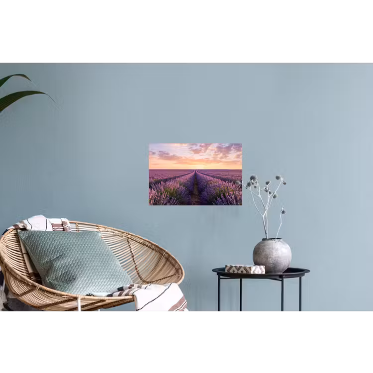 Landschap - Lavendelveld - Paars Muursticker klein -plant