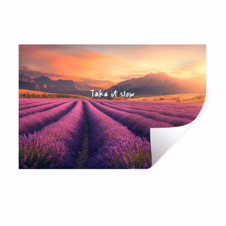 Lavendelveld - Quote - Zonsondergang Muursticker klein -3d
