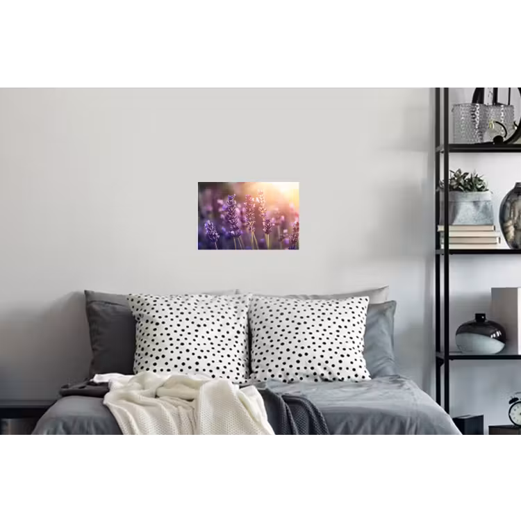 Lavendelbloemen - Paars - Zonlicht Muursticker klein -slaapkamer