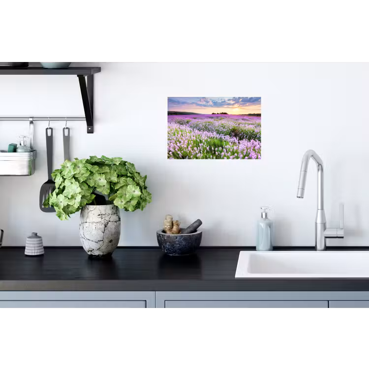 Lavendel - Bloemen - Zonsondergang - Paars - Weide Muursticker klein -keuken