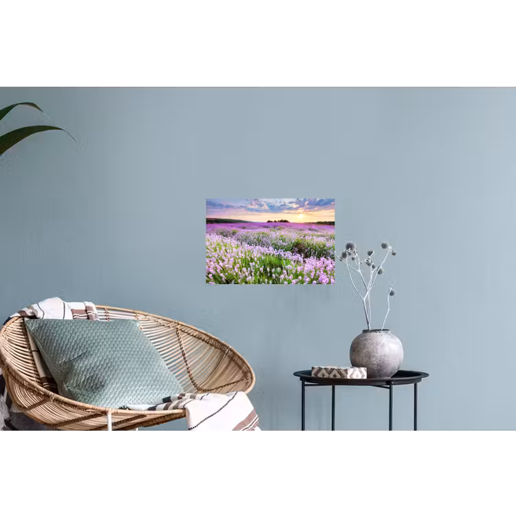 Lavendel - Bloemen - Zonsondergang - Paars - Weide Muursticker klein -plant