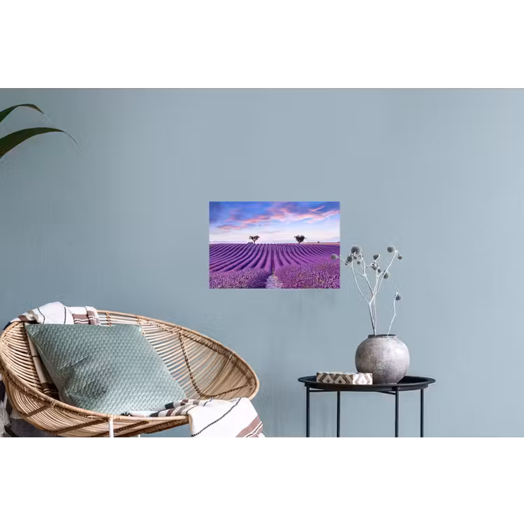 Lavendel - Natuur - Paars - Bomen - Bloemen Muursticker klein -plant