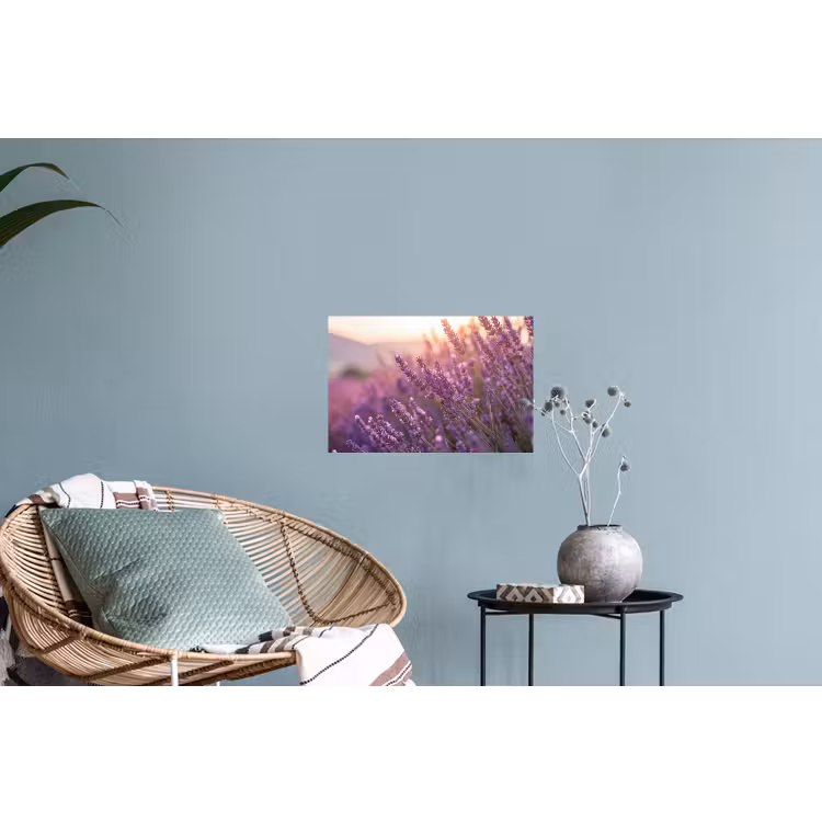 Lavendel - Paars - Zonlicht Muursticker klein -plant